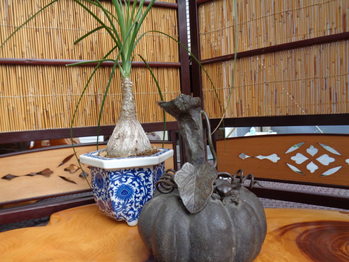 小川処堂　鉄製花瓶　銅器　一輪挿し　南瓜/蛙の立体細工　彫刻　ブロンズ製　中古品