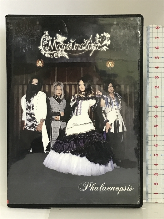 Phalaenopsis Ｍａｇｉｓｔｉｎａ ｓａｇａ マジスティーナサガ Starwaverecords （CD)の画像1