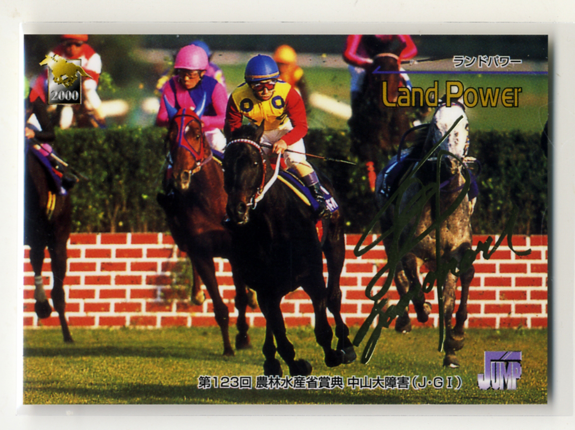 * Thoroughbred Card 2000 year under half period version parallel gold character autograph 059 Land power no. 123 times Nakayama large obstacle gold ... photograph image horse racing card prompt decision 