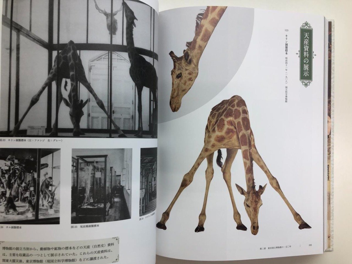 ▼　【図録 東京国立博物館創立150年記念 特別展 東京国立博物館のすべて】116-02309_画像5