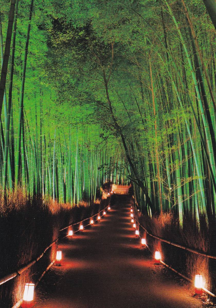 京都　花灯路　嵐山　竹林の小径　絵葉書　ポストカード　日本のお土産_画像1