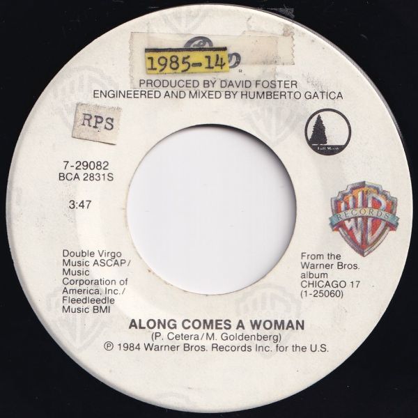 Chicago Along Comes A Woman / We Can Stop The Hurtin' Warner Bros. US 7-29082 203966 ロック ポップ レコード 7インチ 45_画像1