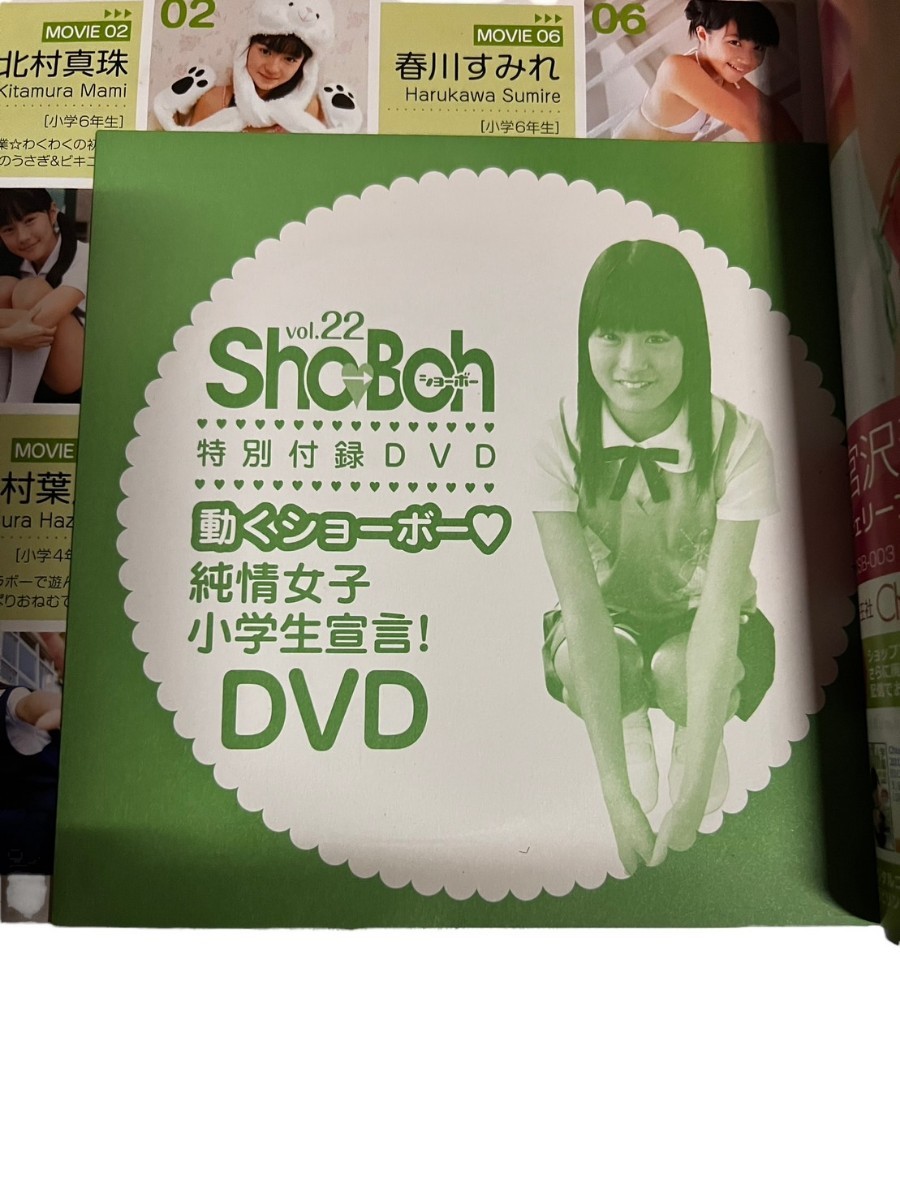 ④ダメージ小 ショーボー Sho→Boh vol. DVD未開封複数