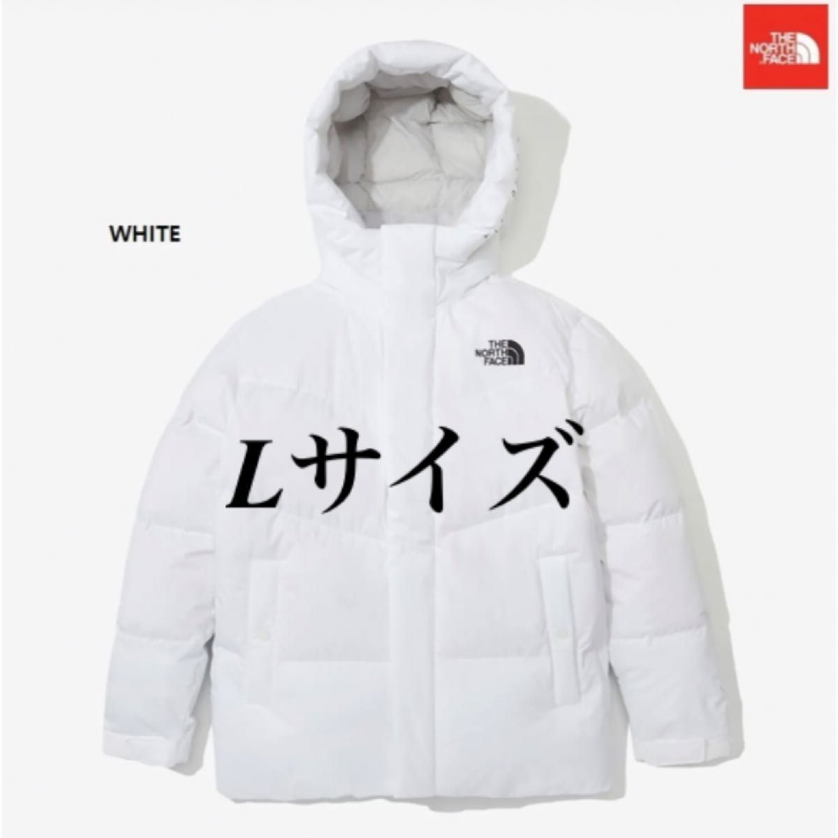 THE NORTH FACE 新品未使用 韓国正規品 ノースフェイス フリームーブ