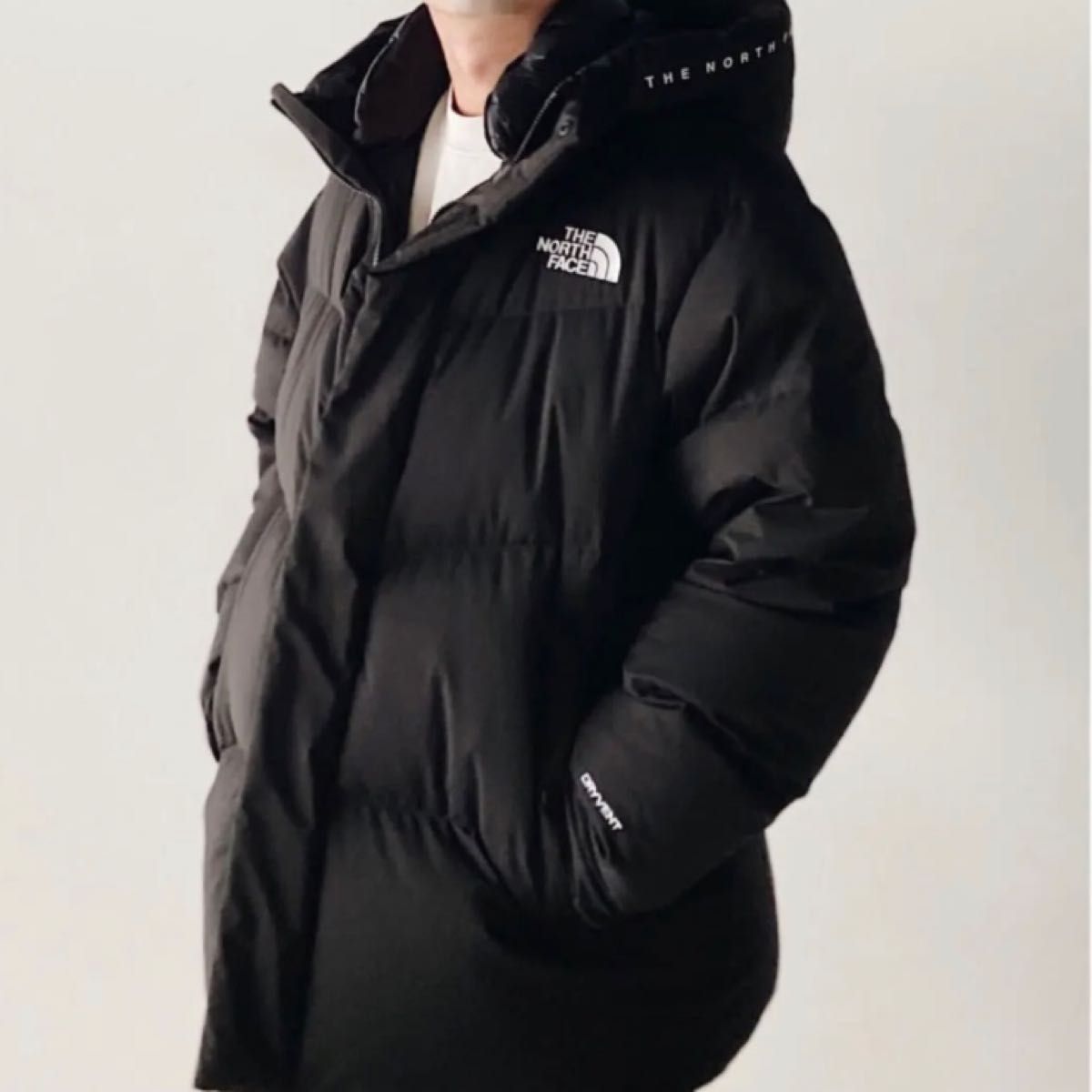 THE NORTH FACE 新品未使用 韓国正規品 ノースフェイス フリームーブ