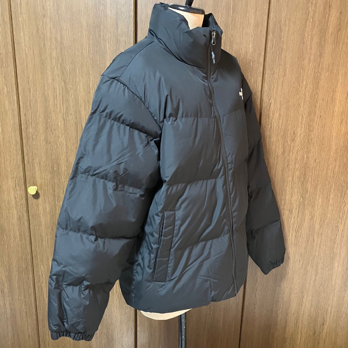 THE NORTH FACE 新品未使用 韓国正規 ノースフェイス アスペン EX オン