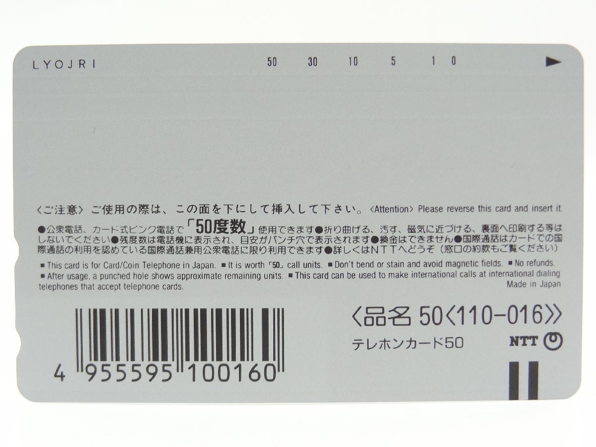  rare telephone card!! unused Kadokawa genuine summer. an educational institution festival \'98 Slayers .....50 frequency ×2 telephone card telephone card KADOKAWA SLAYERS GORGEOUS ②*P