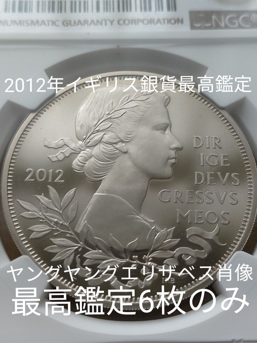 2013 エリザベス女王 戴冠60周年 ピエフォー 5ポンド 銀貨 - 旧貨幣