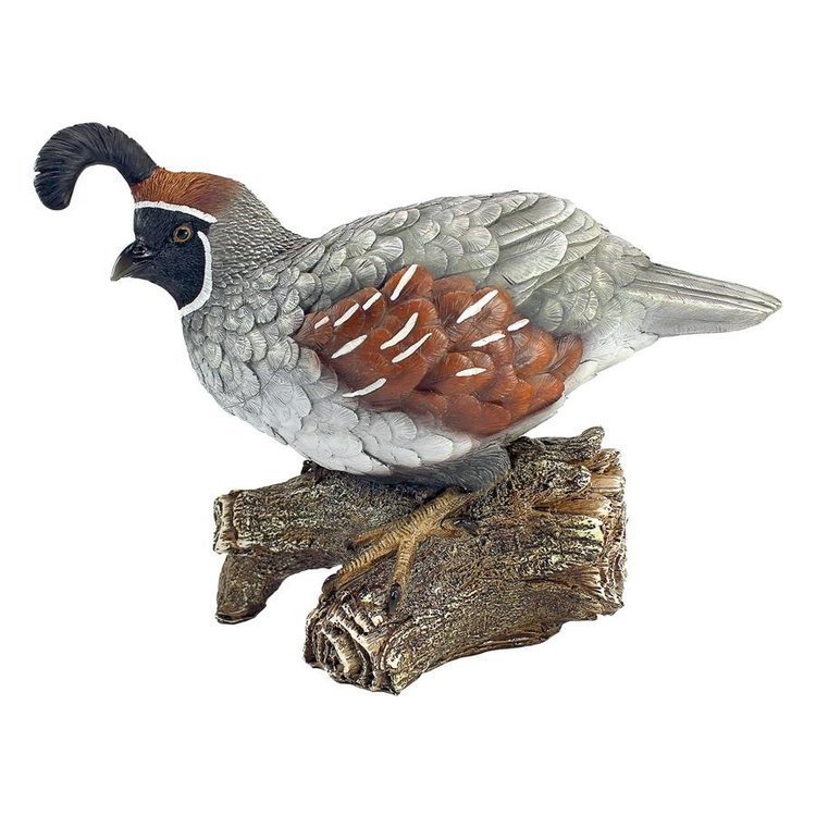 ココという名前の、カンムリウズラ 鳥彫像 リアルな森の鳥彫刻 自然愛好家への完璧な贈り物 輸入品