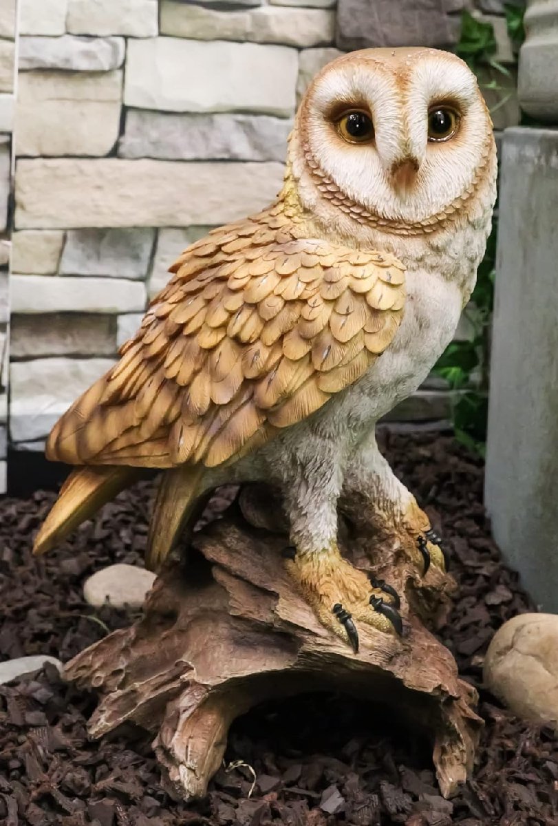 リアルな自然野生生物 木の切り株にとまるメンフクロウ彫像 ガラスの目置物彫刻 カフェ 贈り物 輸入品_画像9