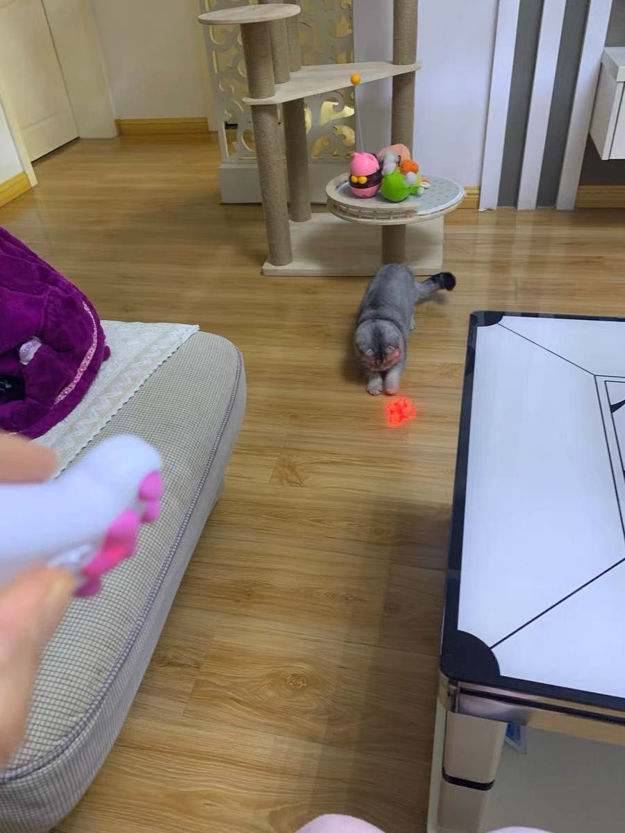 猫　充電式　じゃらし おもちゃ　ペット　LED ライト　レーザー ポインター　ホワイト　最新版-