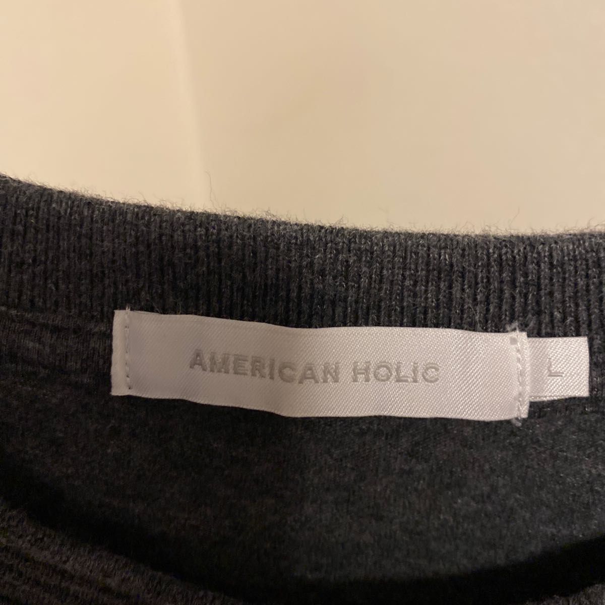 着用回数数回。AmericanHolic。レディース半袖Tシャツ。サイズはLサイズとなりす。