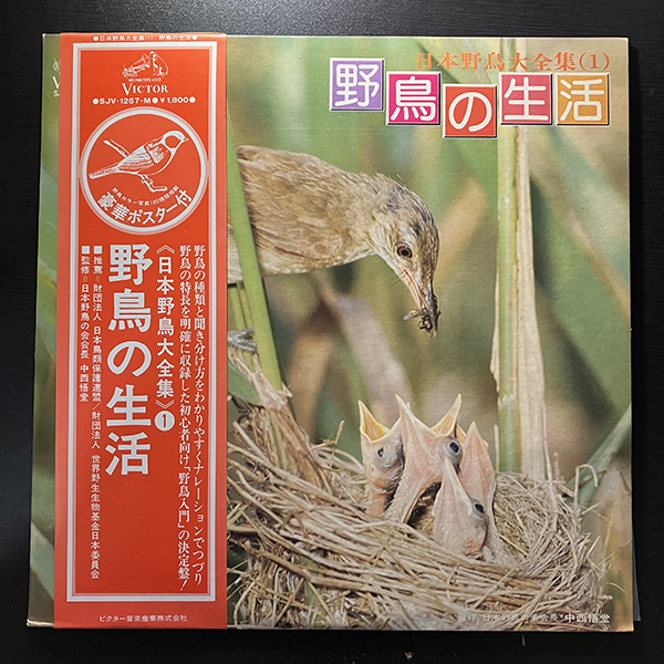 日本野鳥大全集(1) 野鳥の生活 [VICTOR SJV-1257-M] SE 環境音 効果音 帯付 ポスター付 _画像1