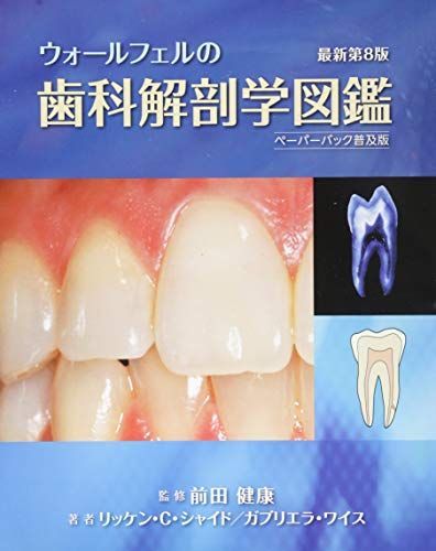 [A12125566]ウォールフェルの歯科解剖学図鑑 ペーパーバック普及版