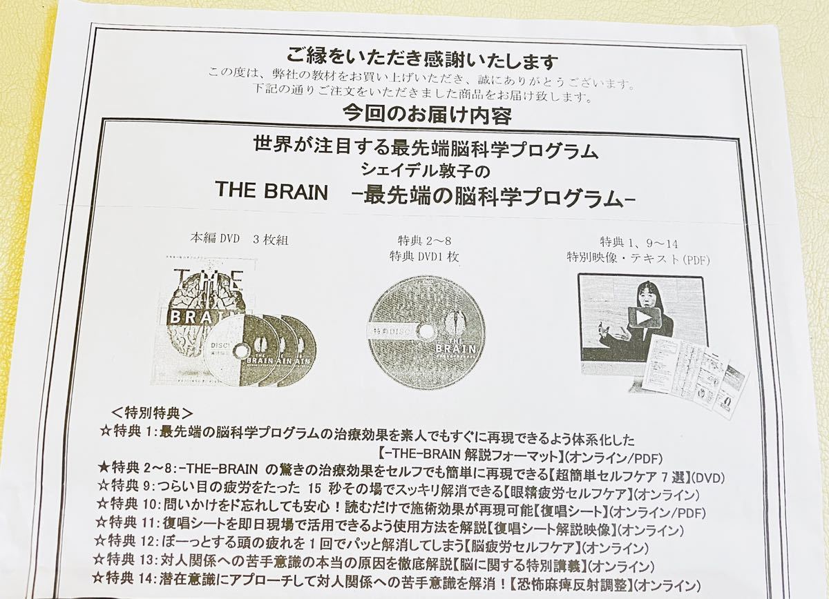 24時間内発送【4枚組/良品】シェイデル敦子 THE BRAIN 最先端の脳科学