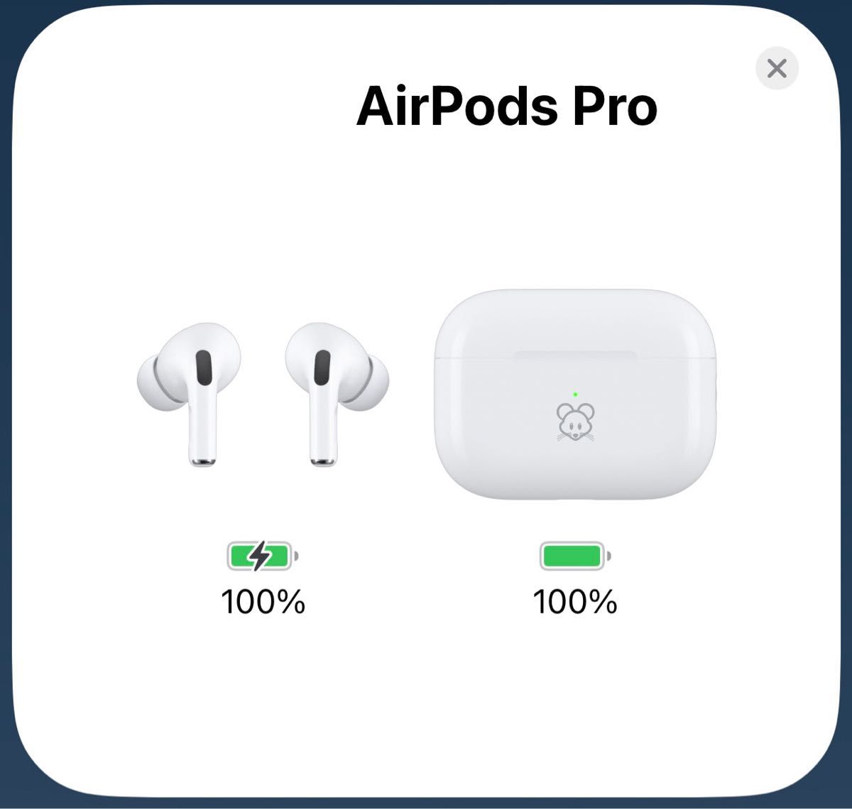 Apple AirPods Pro(第2世代)刻印入り 中古1個|Yahoo!フリマ Apple AirPods Pro(第2世代)刻印入り 中古1個|Yahoo!フリマ