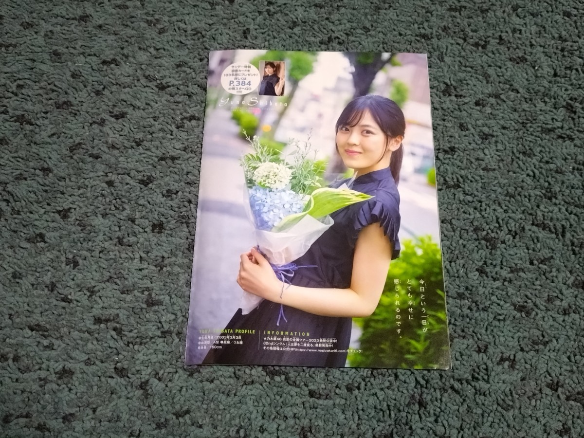  Shibata ..* обложка имеется вырезки 9 страница + открытка / Shonen Sunday 2023 год 34 номер 