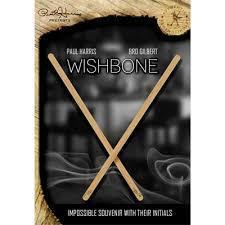 高品質高価格！国内販売なし！ポールハリス wishbone！誰もが驚く、そして誰でもできるマジック！このギミックは自分では作製できません！_画像4