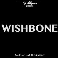 高品質高価格！国内販売なし！ポールハリス wishbone！誰もが驚く、そして誰でもできるマジック！このギミックは自分では作製できません！_画像5