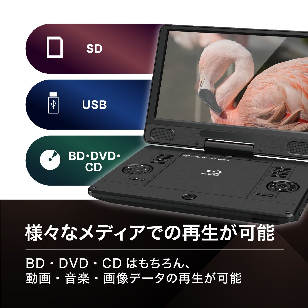 BLUEWIDE 11.6 дюймовый портативный Blue-ray плеер BD-LIVE зарядка аккумулятор CPRM 3 источник питания японский язык 