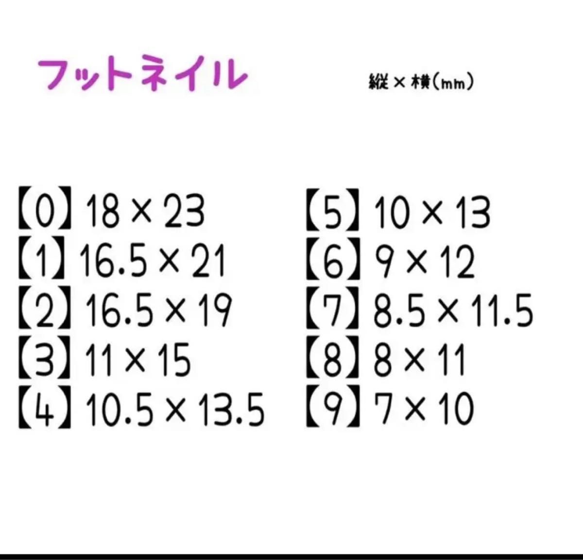 ネイルチップ 秋ネイル 奥行き べっ甲 ミラー No.81 チップシール付き