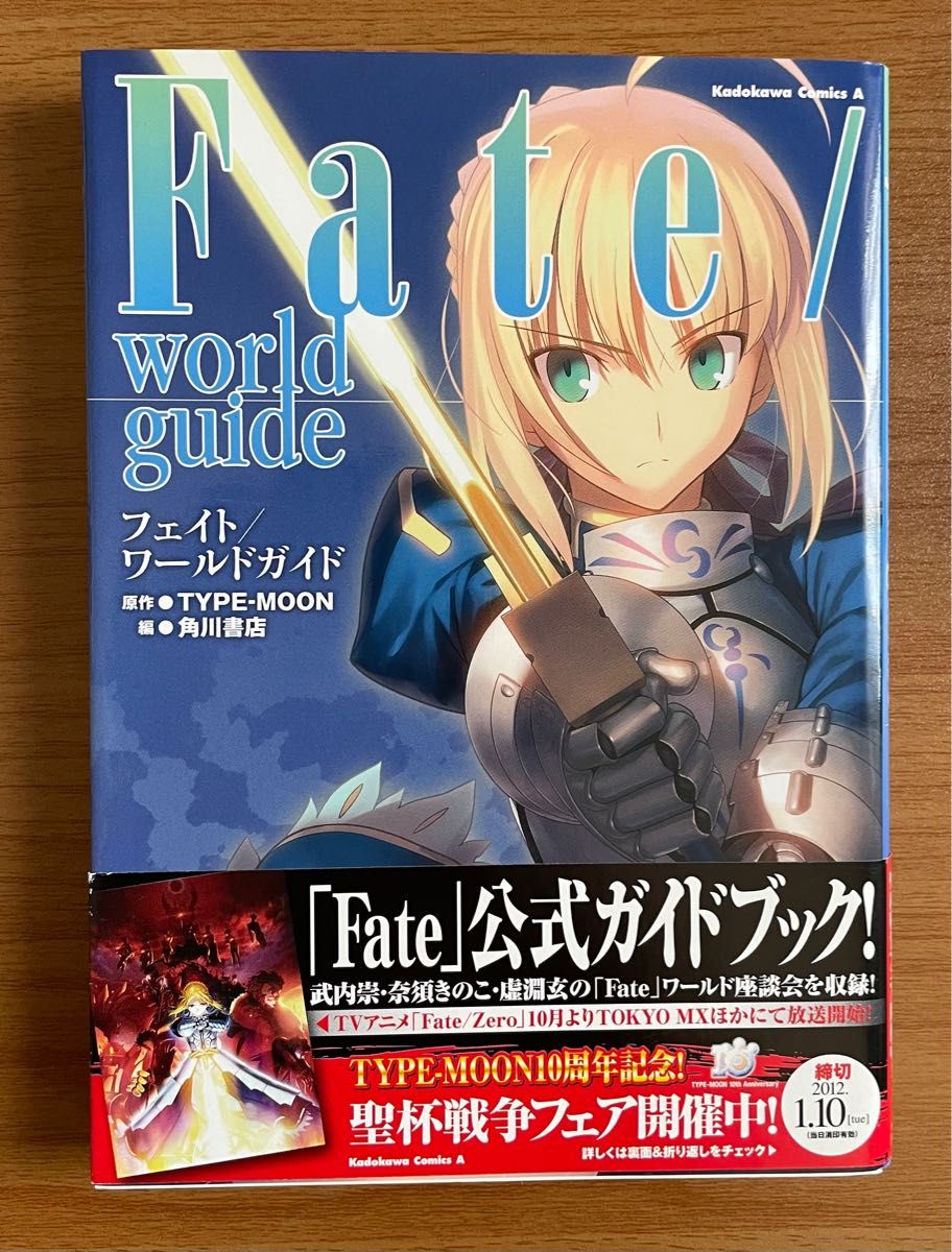 Fate/world guide