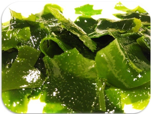  cut . tortoise 50g.. production heaven day dried groceries shop. bottom power Tokushima prefecture production wakame seaweed cut . cloth domestic production domestic production domestic manufacture dry . tortoise dried wakame seaweed 