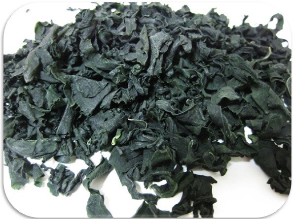  cut . tortoise 50g.. production heaven day dried groceries shop. bottom power Tokushima prefecture production wakame seaweed cut . cloth domestic production domestic production domestic manufacture dry . tortoise dried wakame seaweed 