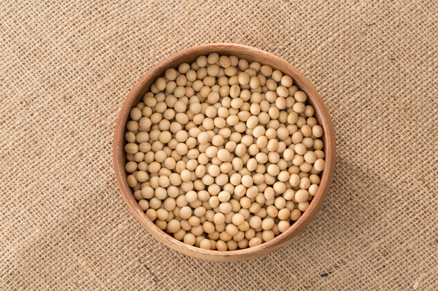  contract cultivation large legume 250g×20 sack ×4 case Asahi food industry Ryuutsu revolution Hokkaido production business use small . for Hokkaido production domestic production dry bean . sale ...20kg