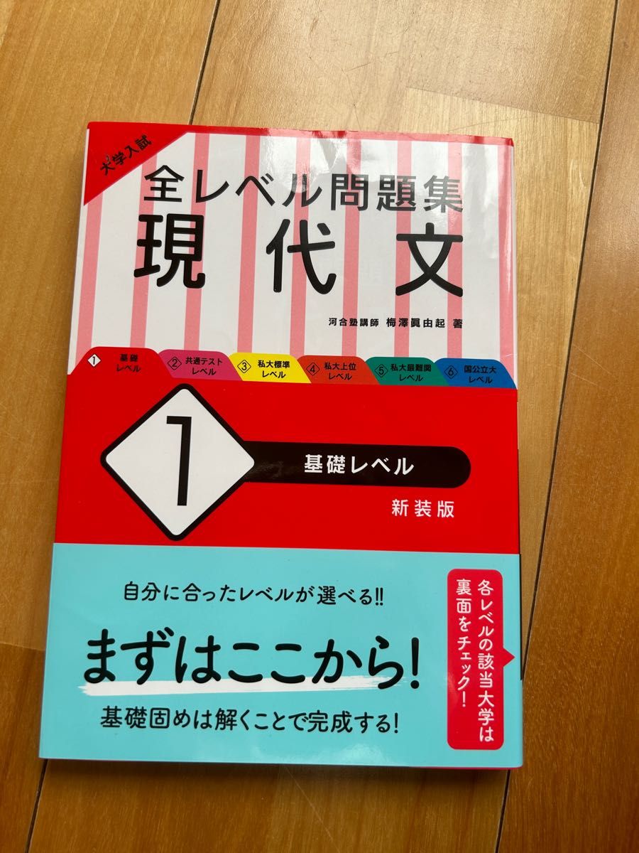 大学入試 全レベル問題集 現代文 1 基礎レベル