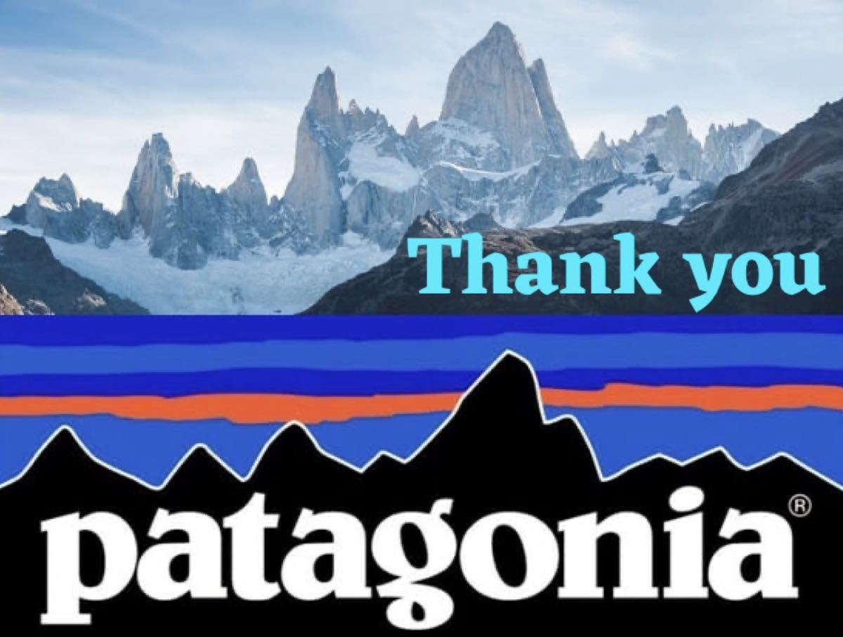 送料格安スピード発送！美品★PatagoniaパタゴニアロンＴシャツグレー★Ｌサイズ登山トレランマラソンキャンプトレッキング_画像8