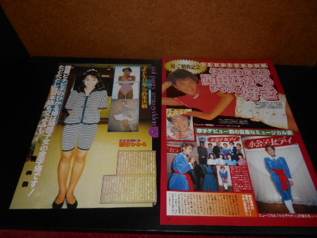 西田ひかる(タレント) 雑誌切り抜き 12ページ(アイドル、芸能人