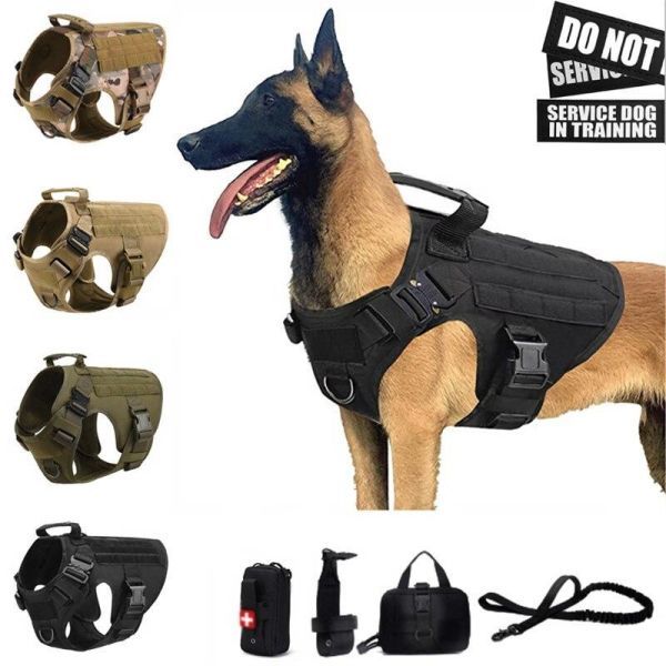 AD024: war .. military the best set k9 dog training for sand note ..