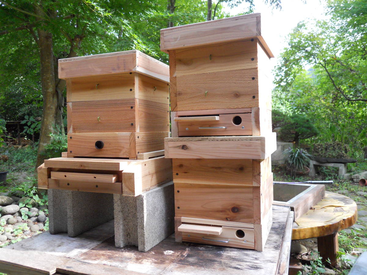 日本蜜蜂 重箱式巣箱 ステンレス製網付き底板 - その他