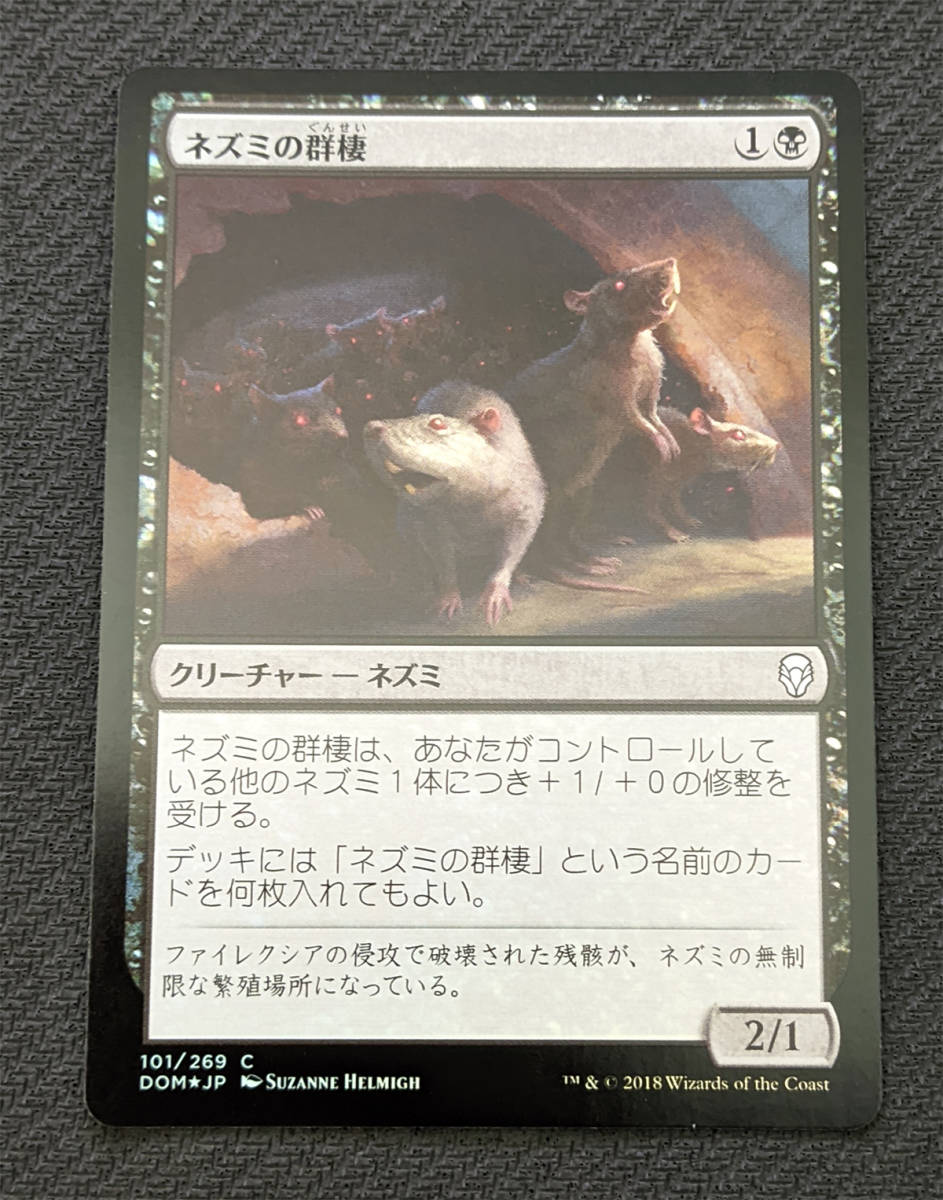 MTG DOM 日本語版 Foil ネズミの群棲/Rat Colony_画像1