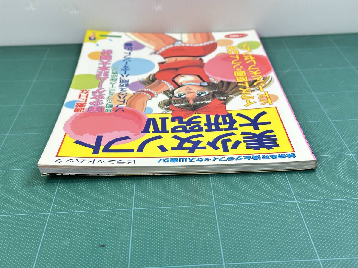 [ rare book@l game magazine ]PC personal computer game capture book [ beautiful young lady soft large research Ⅳ] 4 large land bookstore / pillar mid Mucc 
