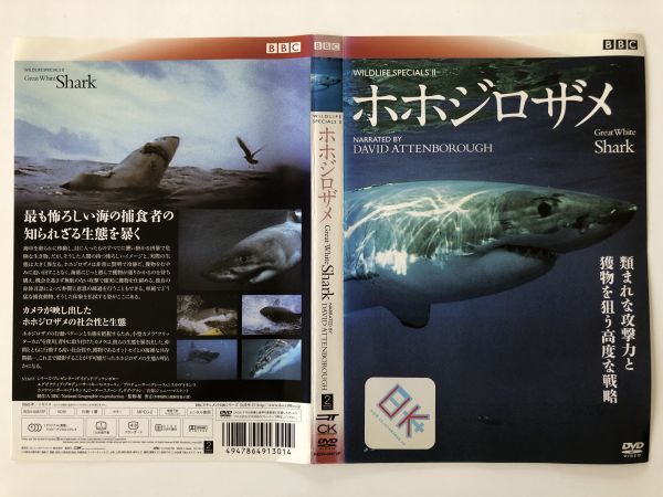 B19452 R中古DVD BBC ワイルドライフ・スペシャル 2 ホホジロザメ ケースなし（ゆうメール送料10枚まで180円）の画像1