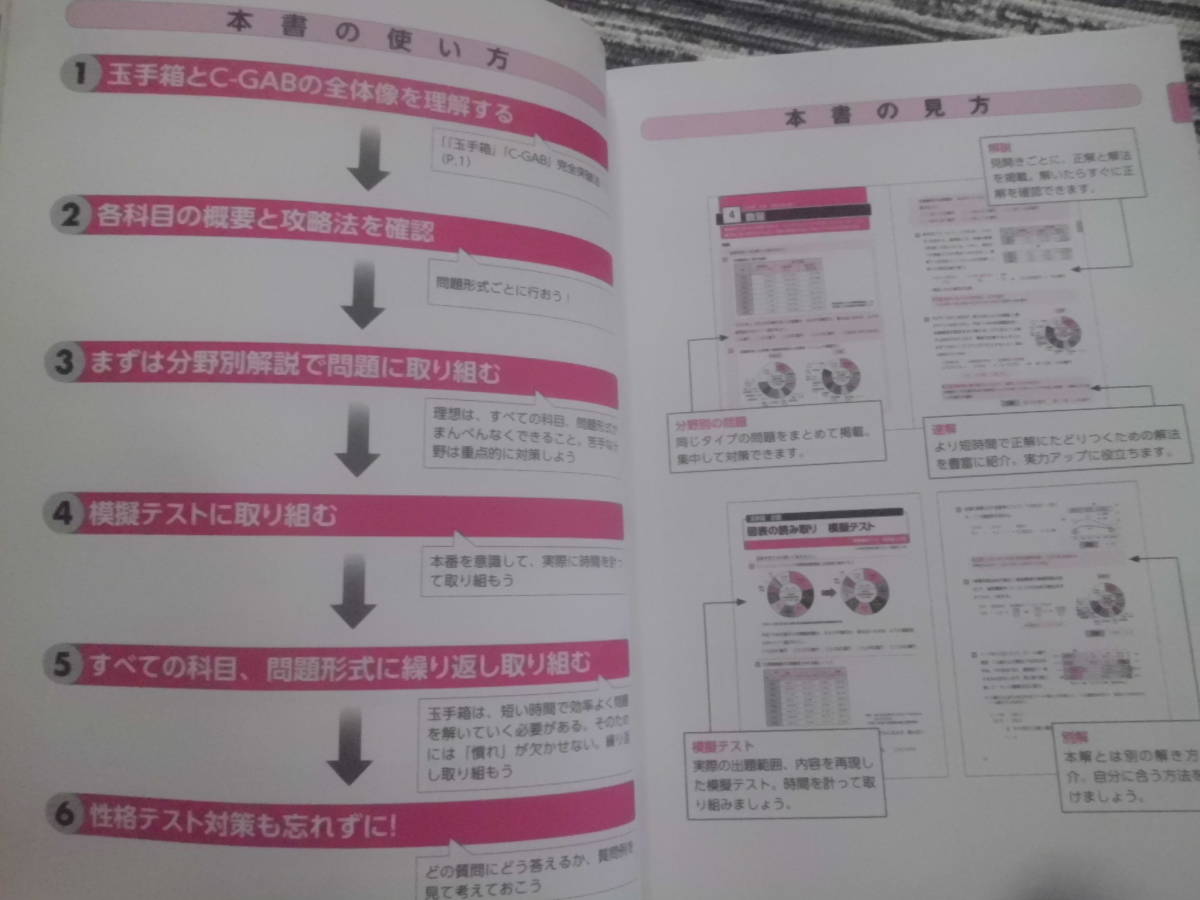 これが本当のＷｅｂテストだ！① 2024年度版玉手箱・C-GAB編ＳＰＩ