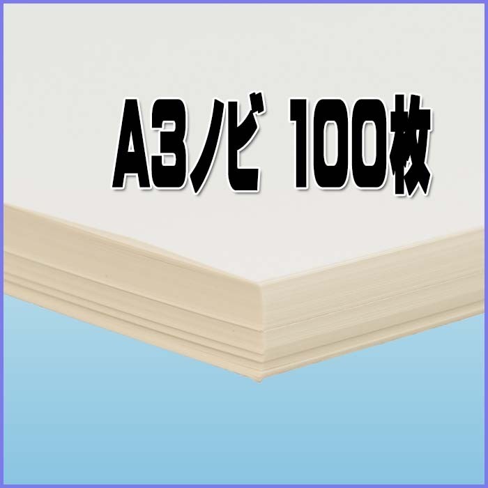 印刷用紙 ハイマッキンレーマットポスト 100枚 Ａ３ノビ （四六判換算220kg） 送料無料_画像3
