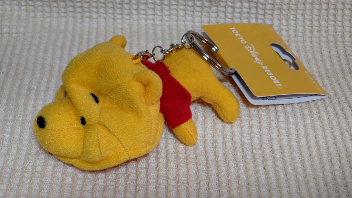 TDR Winnie The Pooh miniature fan cap key holder Tokyo Disney resort 