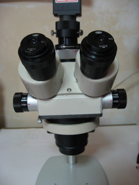  Kiyoshi peace optics real body microscope ZOOM secondhand goods 