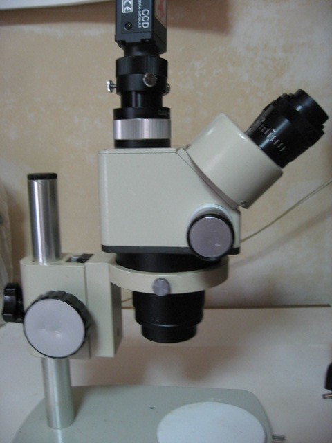  Kiyoshi peace optics real body microscope ZOOM secondhand goods 