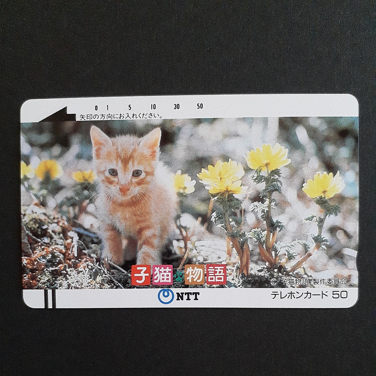. cat monogatari telephone card 3 pieces set unused tea tiger n50 frequency Fuji tv 