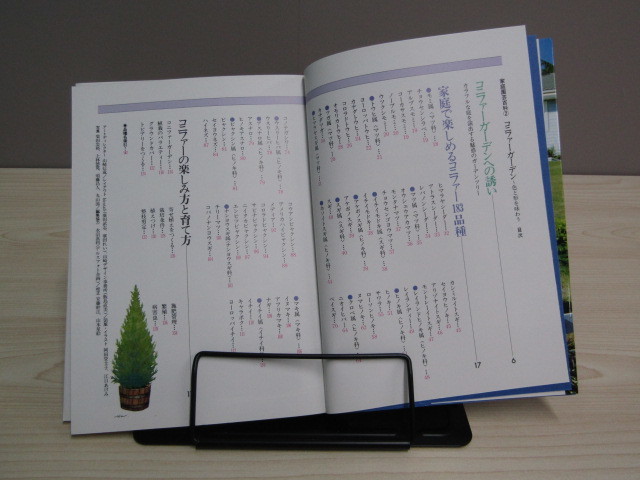 SU-14756 NHK выпускать семья садоводство различные предметы 2 цвет . форма . тест .. хвойное дерево сад Shibata .. Япония радиовещание выпускать ассоциация книга