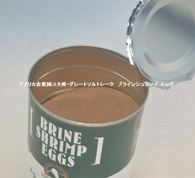 ニチドウ  ブラインシュリンプ エッグ 20g ユタ州 ソルトレイク産 日本動物薬品 ブラインシュリンプ の画像2