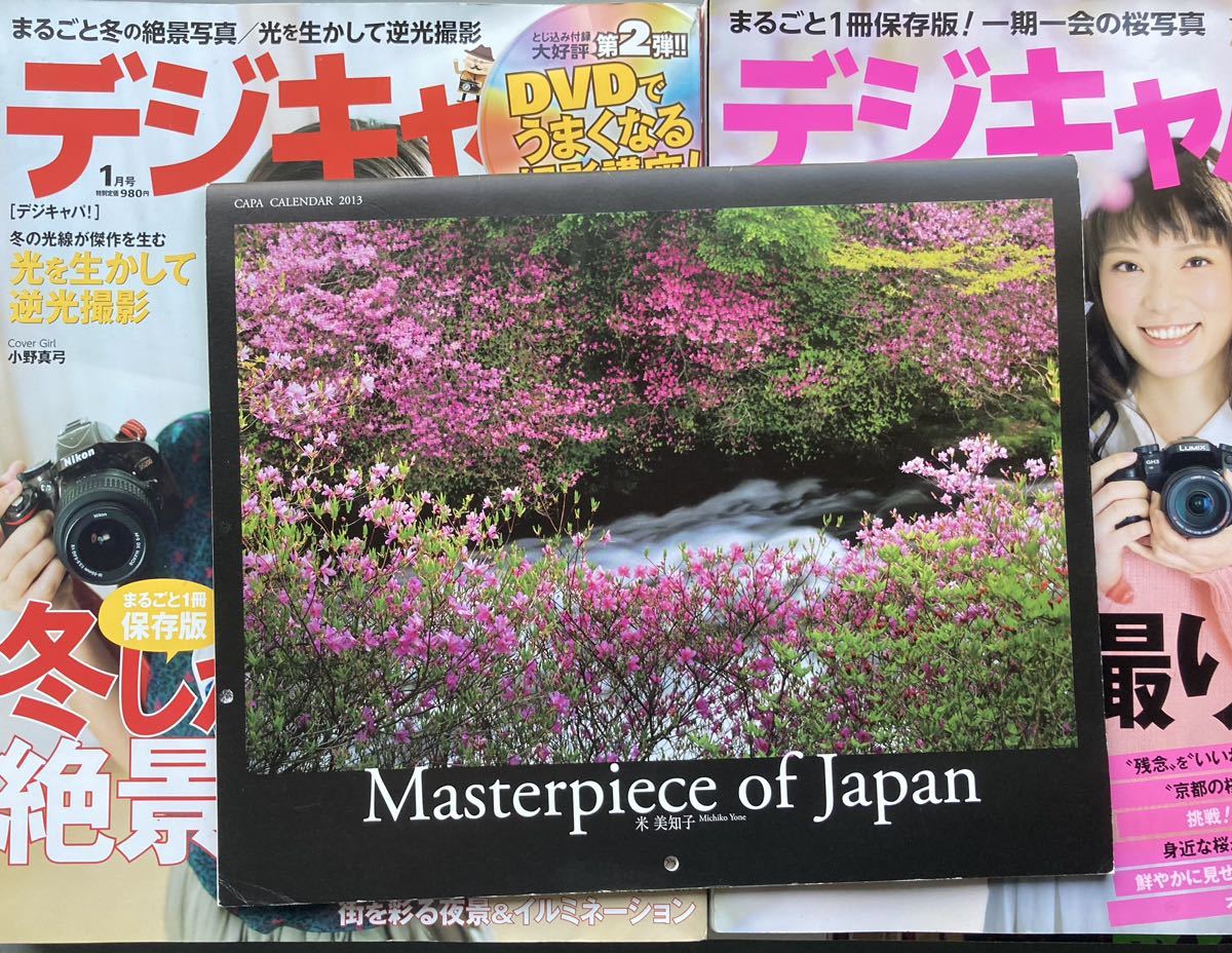 ２０１３年　　デジタルキャパ　８冊　付録１冊_画像7