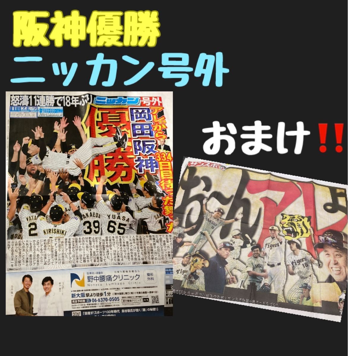 阪神タイガース 優勝 ニッカン 号外 サンスポ アレ間近記事 スポーツ紙 岡田彰布｜PayPayフリマ