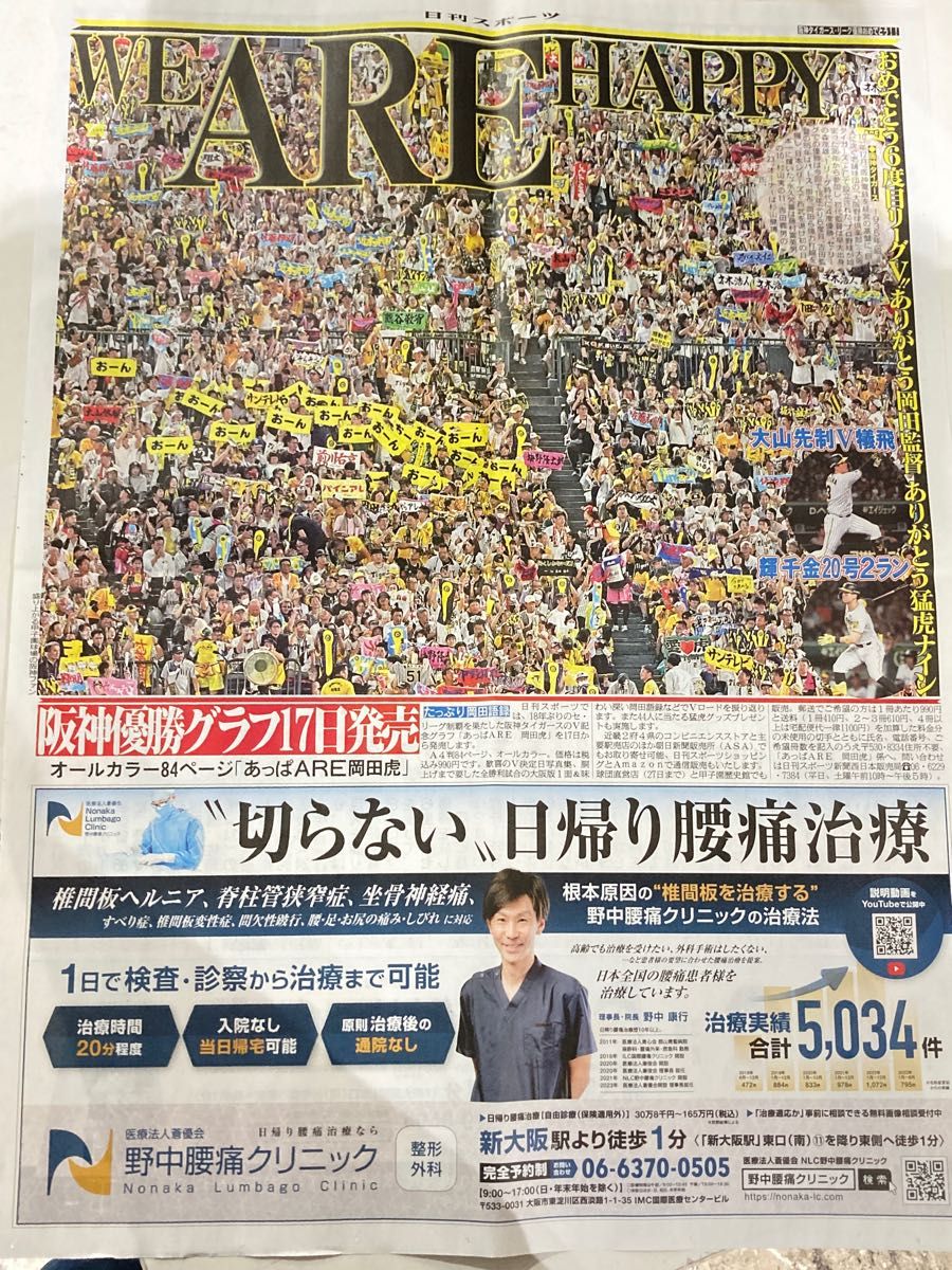 阪神タイガース　優勝　号外　日刊　ニッカン