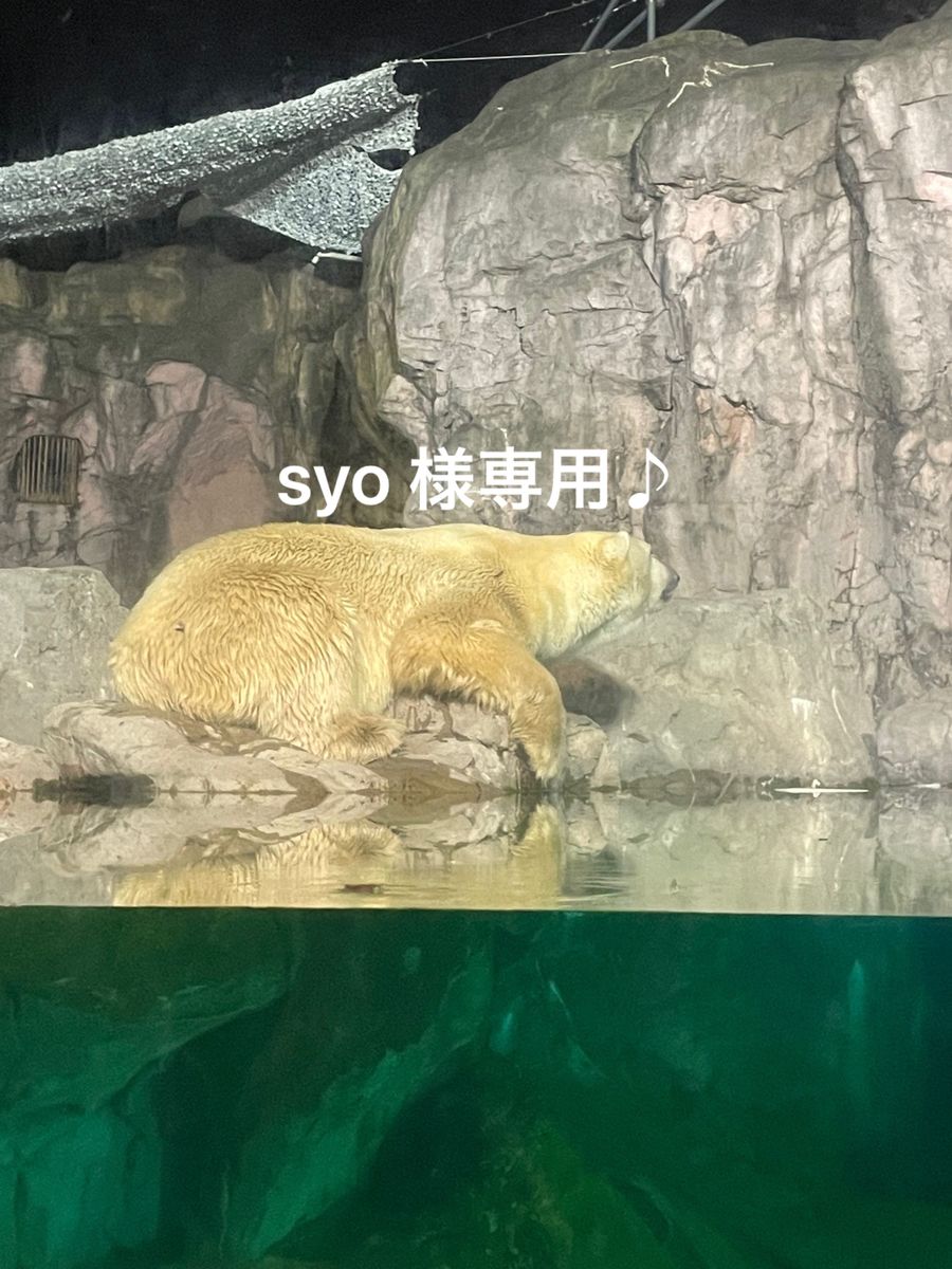 syo 様専用です (同梱)|Yahoo!フリマ(旧PayPayフリマ)