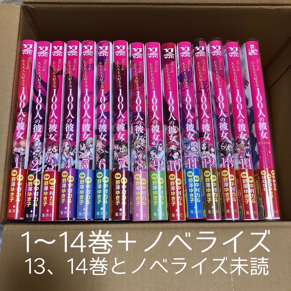 君のことが大大大大大好きな100人の彼女 1～14巻＋ノベライズ 既刊全巻セット 3巻以降初版　未読有　100カノ